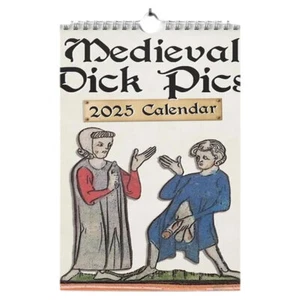 Medieval Pics 2025 Calendar Prank Medieval Wall Calendar Funny Wall Art Calendar - Bild 1 von 12