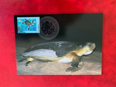AUSTRALIA 1995 MAXI CARD WORLD DOWN UNDER FLATBACK TURTLE - Image 1 of 2