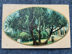 Schöne Bäume Vintage Postkarte - Bild 1 von 2