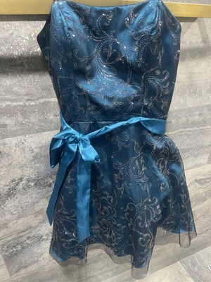 Vestido azul brillante con cinta pequeño                      Foto 1 de 4