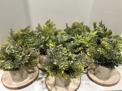 9 mini plantas falsas en maceta plástico artificial eucalipto topiarios con losas de madera Foto 1 de 4