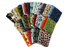 10 cuartos de grasa - Surtido de insectos insectos espeluznantes escarabajos polillas M229.05 - Imagen 1 de 2