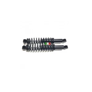 AMMORTIZZATORI POSTERIORI (COPPIA) CHATENET BAROODER BASE (NO SPORT) GM0118014B - Foto 1 di 1