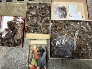 Vintage gemischt echte Vogelfedern Fliegenfischen Krawattenköder Nachlass Posten - ansehen - Bild 1 von 8