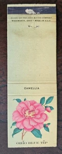 Camellia Flower "Matchcover" - Picture 1 of 2