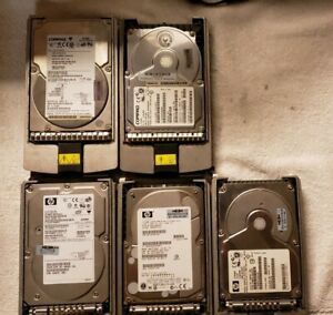 Lot of 5 HP Compaq Hard Drives with Caddies 313370-006 313370-005 SCSI
