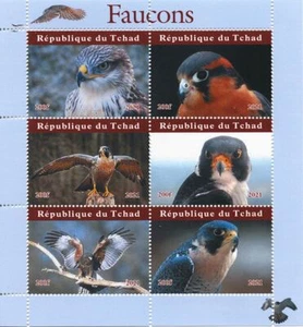 Chad 2021 MNH Birds on Stamps Falcons Falcon Birds of Prey 6v M/S II - Picture 1 of 1