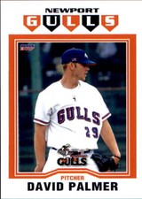 2017 Newport Gulls Choice #24 David Palmer Islip Terrace New York Baseball Card