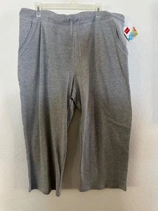 Hanes Live Love Color Gray Grey Pull On Relaxed Fit Capri Pants Sz XL NWT - Picture 1 of 5