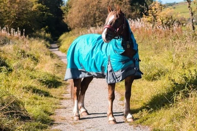 Lightweight 1200D Horse Turnout Rug Waterproof Combo Full Neck Aqua/Grey - Image 1 of 4