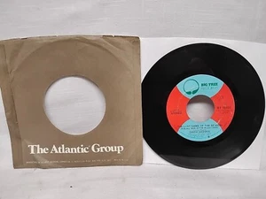 David Geddes The Last Game Of The Season 45 RPM Big Tree Records BT 16052 1975 - Picture 1 of 4