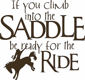 Cowboy Horse Rodeo Cowgirl Western Funny Car Truck Window Vinyl Decal Sticker - Bild 1 von 2