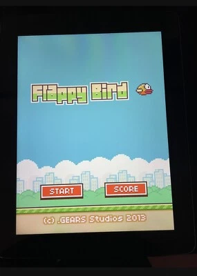 RARE JAILBROKEN Apple iPad 3rd Gen 64GB WiFi Black *FLAPPY BYRD* NO LONGER AVAIL - Image 1 of 4