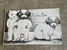 1909 Lucky Dog Cat Postcard A.E. Avery Fur Mom Gift Posted Card Rare Vintage