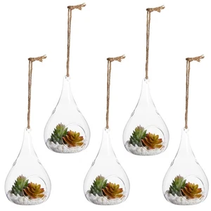 5-Pack Hanging Glass Terrarium Containers, Air Plant Holder (3.5x5 In) - Picture 1 of 9