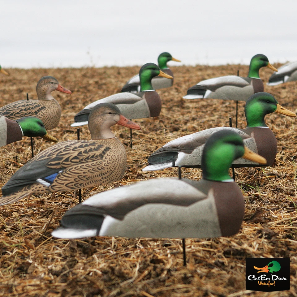 AVERY GREENHEAD GEAR GHG MALLARD HARVESTER 5/8 SHELL DUCK DECOYS DOZEN 12 - Image 1 of 1