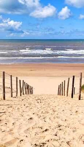 Carta da parati fotografica TESSUTO NON TESSUTO - SPIAGGIA DI SABBIA - (5540SL) - verticale duna carta da parati murale XXL - Foto 1 di 2