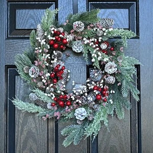 Christmas Wreath for Front Door, 24 inch Winter Wreaths with Natural Pine Con... - Picture 1 of 5