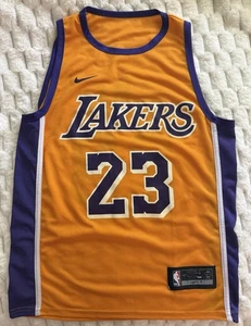 Rare LeBron James Lakers #23 Nike Icon Swingman – Purple Numbers w/ White Trim - Picture 1 of 5