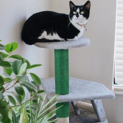  2 pezzi di ricambio per tiragraffi per gatti, ricambio per tiragraffi per - Immagine 1 di 4