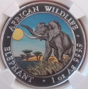 500 Minted Colorized .999 Silver OZ Daytime Elephant Somalia 2016 NGC MS69 - Picture 1 of 6