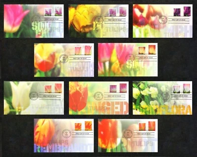 Conjunto combinado de 10 estampillas de flores de tulipán 2023 FDC en blanco/bobina: cachés de Ciccolella Foto 1 de 4