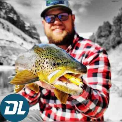 Fishing Lures, Jerkbait - Dynamic Lures J-SPEC, 3" Multiple Color Patterns