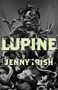 Lupine by Jenny H. Irish (English) Paperback Book - Picture 1 of 1