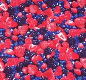Summer Fruits 100% Cotton Fabric Timeless Treasures Strawberry Blueberry - Picture 1 of 2