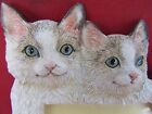 50.  Small Picture Photo Frame Three 3 Cats Smiling Blue Eyes