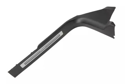 Placa de umbral de puerta lateral de pasajero GM Jet negra genuina 84559139 Foto 1 de 4