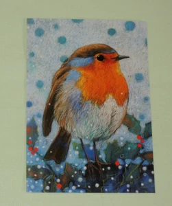 1 Postkarten Rotkehlchen Loes Botman Winter Vögel Vogel Tiere 10,5x 15 cm Kunst - Picture 1 of 2