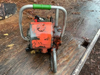 Motosierra Homelite Foto 1 de 4