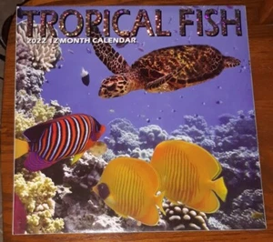 12-Monatskalender 2022 - TROPISCHE FISCHE - versiegelt - Bild 1 von 11