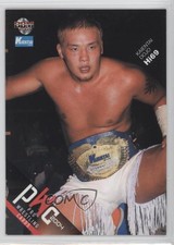 2004 BBM Pro Wrestling Hi69 #205