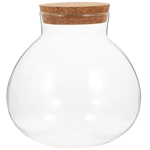 Öko Flasche kleine Gläser mit Korkendeckel Terrarium Mini Flaschen - Bild 1 von 12