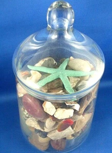 Retro STAR FISH / CORAL / SEA SHELLS in Art Glass Display Jar COLLECTABLE DECOR - Imagen 1 de 10