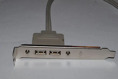 ¡Nuevo! ASUS, MSI, EVGA, Asrok Universal 2 Puertos USB 2.0 Placa Panel Trasero Soporte  Foto 1 de 2