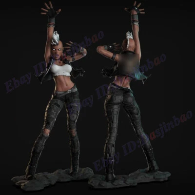 Storm Punk 1/6 3D Printing Model Kit Unpainted Unassembled GK - Image 1 of 4