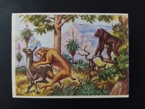 FIGURINA MONDORAMA ED. MODERNA 1969 n. 58 OTTIMA NUOVA MAI ATTACCATA - Imagen 1 de 2