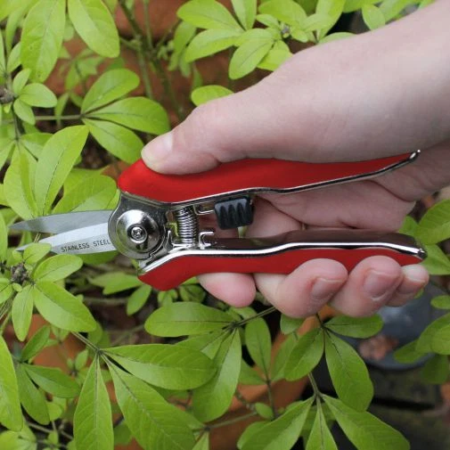 Darlac Mini Pocket Snips Garden Secateurs Stainless Steel DP71 - Image 1 of 1