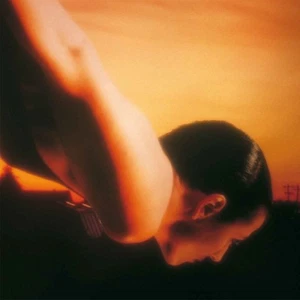 PORCUPINE TREE - ON THE SUNDAY OF LIFE 2 VINYL LP NEU - Bild 1 von 1