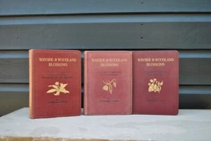 Wayside and Woodland Blossoms set of 3 books by Edward Step - Antique - Nature - Picture 1 of 10