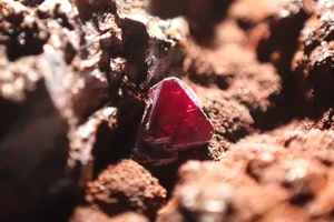 CUPRITE * DARK RED FINE CRYSTALS ON MATRIX ! Le Moulinal Mine, Tarn, FRANCE - Picture 1 of 19