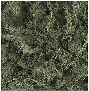 Kato 24-555 Natural Plants - Dark Green - Picture 1 of 1