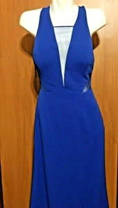 Women Evening Mesh Long Dress 10 Large Adrianna Papell Royal Blue New NWT Flowy - Picture 1 of 8