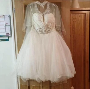 wedding dress size 10 short - Picture 1 of 8
