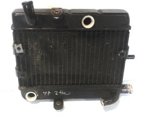 RADIATORE YAMAHA MAJESTY 250 MBK SKYLINER   USATO CODICE : 5GM124611000 - Imagen 1 de 1