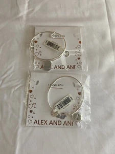 Alex und Ani Bettelarmband "FRIEND" Silber Armreif Armband (2 Stück) - Bild 1 von 2