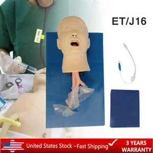 Child Intubation Manikin Teaching Study Model Airway Management Trainer W/ Tube - Picture 1 of 11